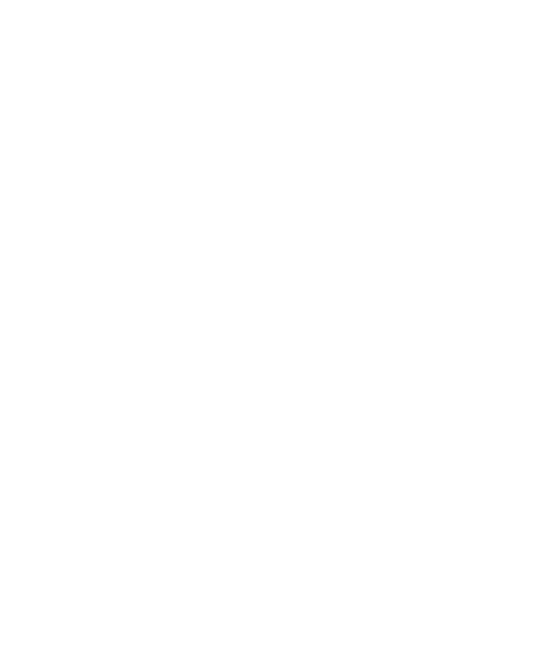 Custodian Icon